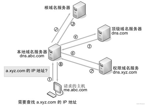计算机网络DNS域名解析过程与系统工程服务解析